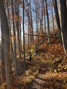 Wanderung Werdenberg nach Sargans Schlossweg