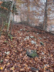 Wanderung Werdenberg nach Sargans Schlossweg