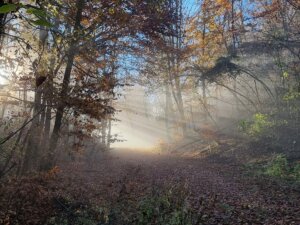 Wanderung Werdenberg nach Sargans Schlossweg