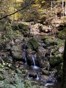 magglingen-nach-twannbachschlucht1