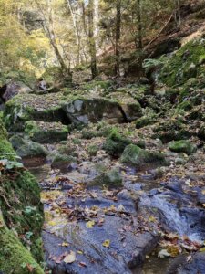 magglingen-nach-twannbachschlucht1