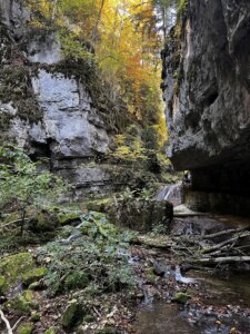 magglingen-nach-twannbachschlucht1