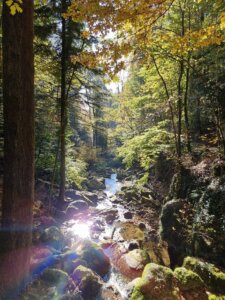 magglingen-nach-twannbachschlucht1