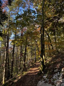 magglingen-nach-twannbachschlucht1