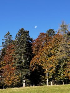 magglingen-nach-twannbachschlucht1