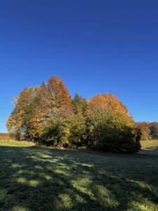 magglingen-nach-twannbachschlucht1